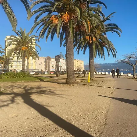 Neuf Et Lumineux - Centre - Place Miot/albert 1er Apartment *