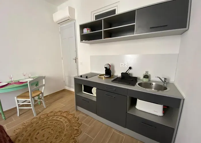 Neuf Et Lumineux - Centre - Place Miot/albert 1er * Ajaccio (Corsica)