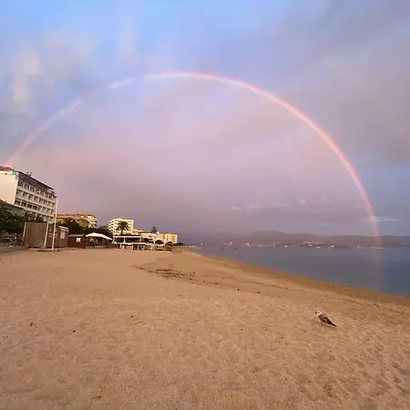 شقة Neuf Et Lumineux - Centre - Place Miot/albert 1er