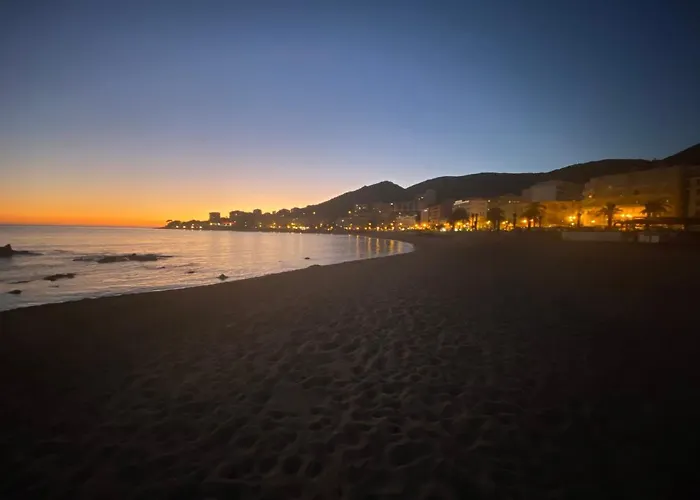 Neuf Et Lumineux - Centre - Place Miot/albert 1er *